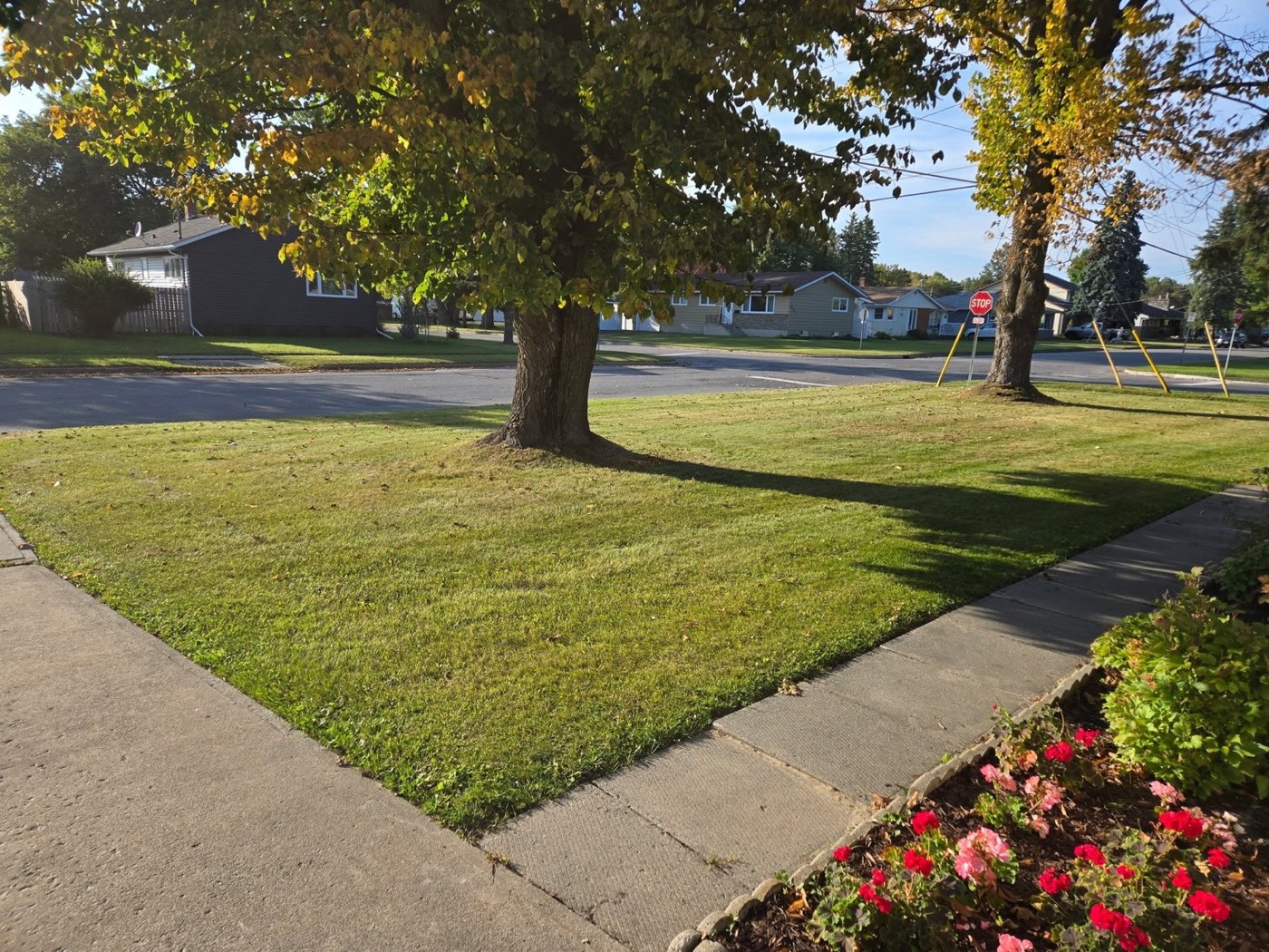 Clear, tidy yard after fall leaf clean-up