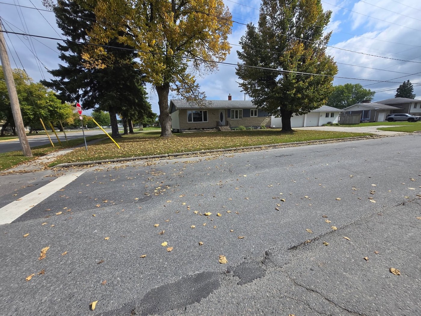 Yard covered in fallen leaves before clean-up